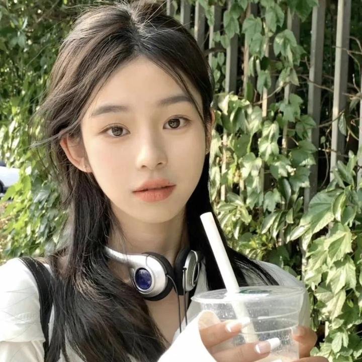 安妮·法兰克的最后七个月